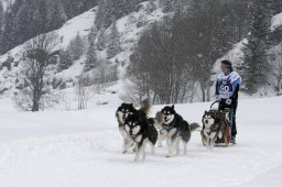 Gadmen 2010