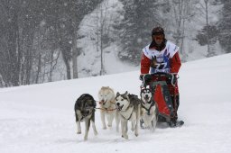 Gadmen 2010