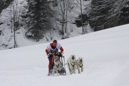 Gadmen 2010