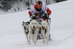 Gadmen 2010