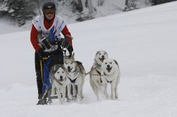 Gadmen 2010