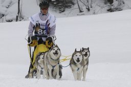Gadmen 2010