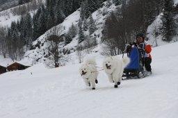 Gadmen 2010