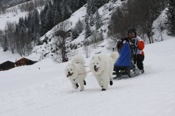 Gadmen 2010
