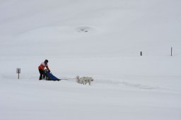 Gadmen 2010