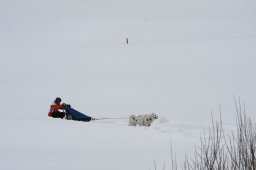 Gadmen 2010