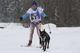Gadmen 2010