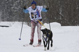Gadmen 2010