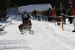 San Bernardino 2010
