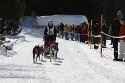 San Bernardino 2010