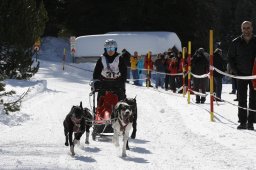 San Bernardino 2010