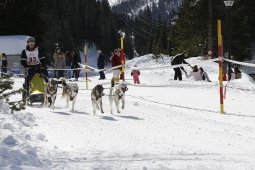 San Bernardino 2010