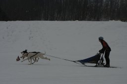 Studen 2010