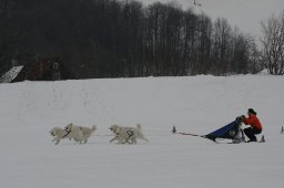 Studen 2010