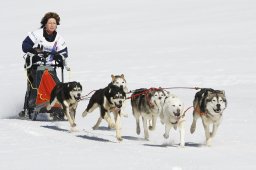 Gadmen 2011