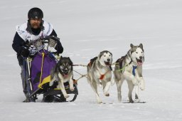 Gadmen 2011