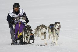 Gadmen 2011