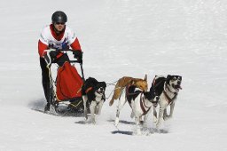 Gadmen 2011