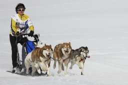 Gadmen 2011