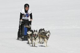 Gadmen 2011