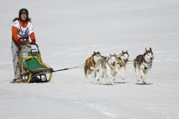 Gadmen 2011