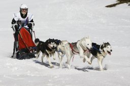 Gadmen 2011