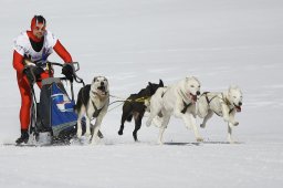 Gadmen 2011