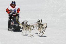 Gadmen 2011