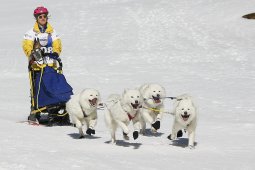 Gadmen 2011