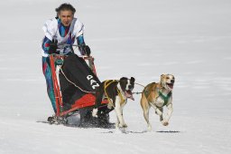 Gadmen 2011