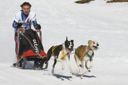 Gadmen 2011