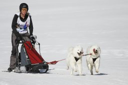 Gadmen 2011