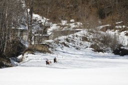 Gadmen 2011