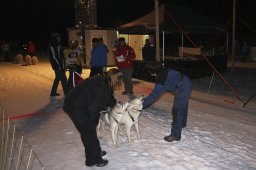 Gadmen 2011