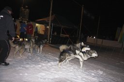 Gadmen 2011