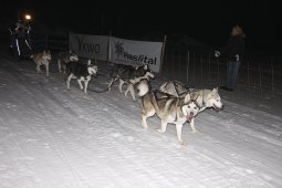 Gadmen 2011