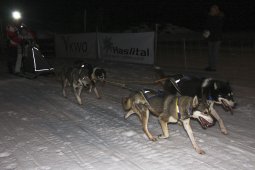Gadmen 2011
