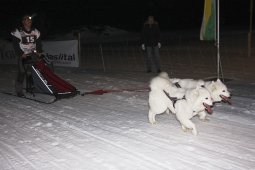 Gadmen 2011