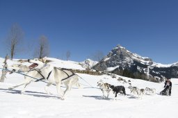 Kandersteg 2011