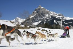 Kandersteg 2011