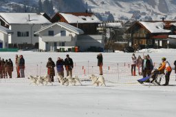 Studen 2011