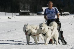 Studen 2011