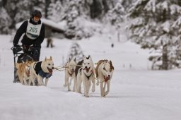 Kandersteg 2014 WM