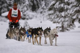 Kandersteg 2014 WM