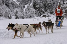 Kandersteg 2014 WM