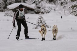 Kandersteg 2014 WM