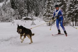 Kandersteg 2014 WM