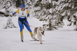 Kandersteg 2014 WM
