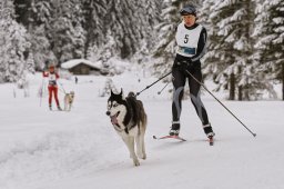 Kandersteg 2014 WM