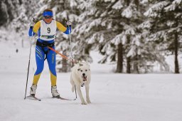 Kandersteg 2014 WM